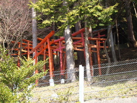 2013-03・07　日吉神社 (12).JPG