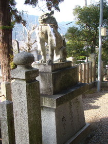 2013-03・07　日吉神社 (27).JPG